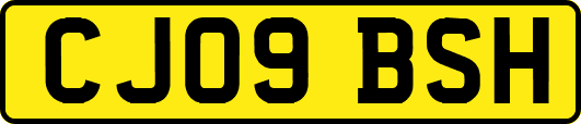 CJ09BSH