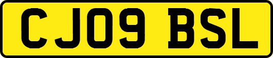 CJ09BSL