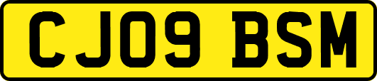 CJ09BSM