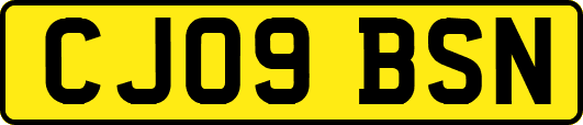 CJ09BSN