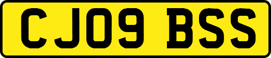 CJ09BSS