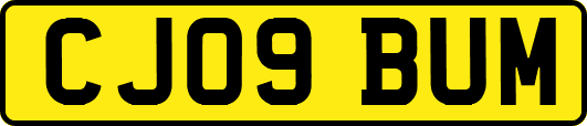 CJ09BUM