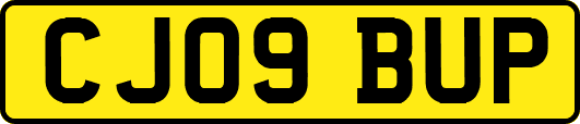 CJ09BUP