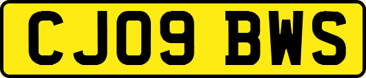 CJ09BWS