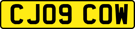 CJ09COW