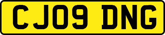 CJ09DNG