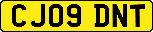 CJ09DNT