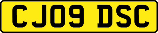 CJ09DSC
