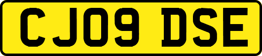 CJ09DSE