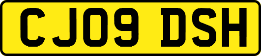 CJ09DSH