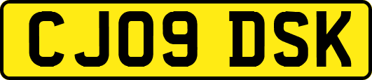 CJ09DSK