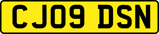 CJ09DSN