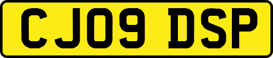 CJ09DSP