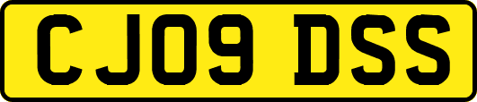 CJ09DSS