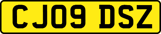 CJ09DSZ