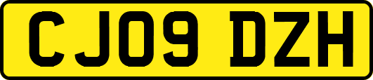 CJ09DZH