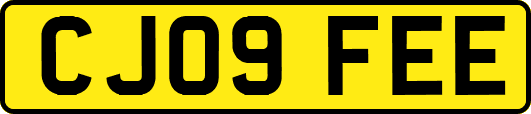 CJ09FEE