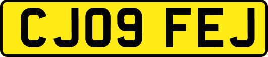 CJ09FEJ