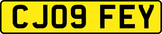 CJ09FEY