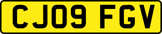 CJ09FGV