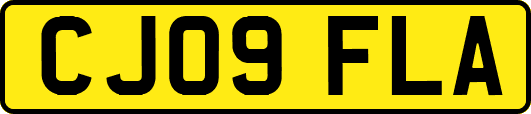 CJ09FLA
