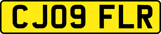 CJ09FLR