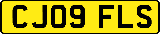 CJ09FLS