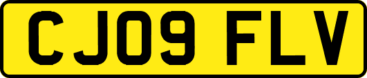 CJ09FLV