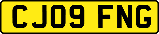 CJ09FNG