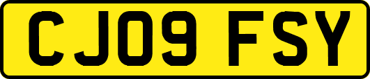 CJ09FSY