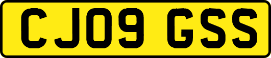 CJ09GSS