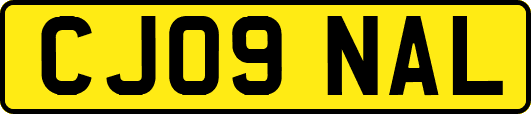CJ09NAL