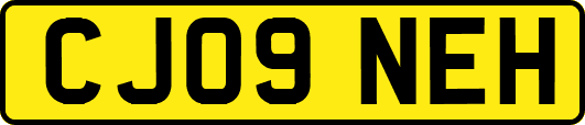 CJ09NEH