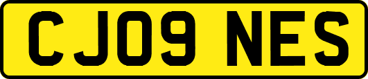 CJ09NES