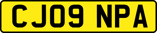 CJ09NPA