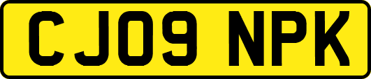 CJ09NPK