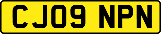 CJ09NPN