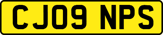 CJ09NPS