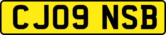 CJ09NSB
