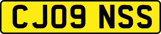CJ09NSS