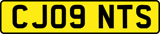 CJ09NTS