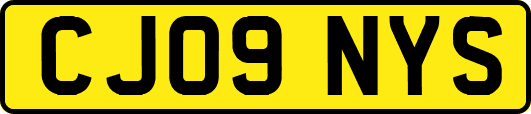 CJ09NYS