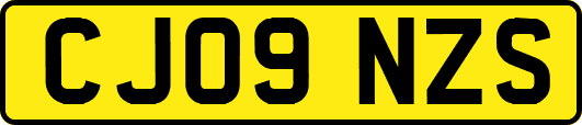 CJ09NZS