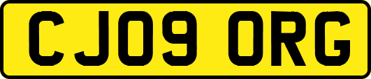 CJ09ORG