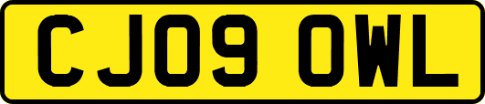 CJ09OWL