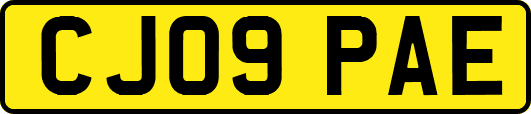 CJ09PAE