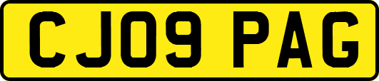 CJ09PAG