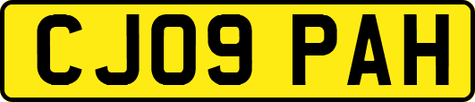 CJ09PAH
