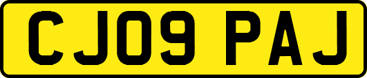 CJ09PAJ