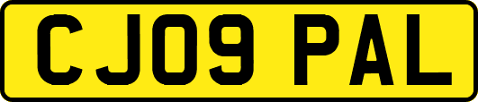 CJ09PAL